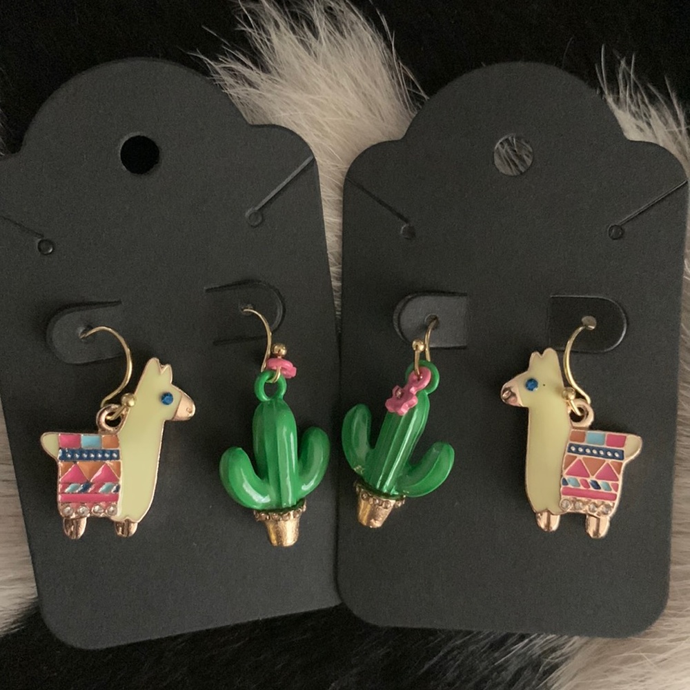 Mix & Match earrings NWOT